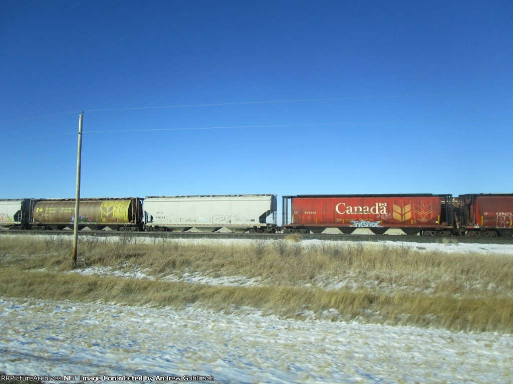 CP 606446, 603045 + SOO 118794